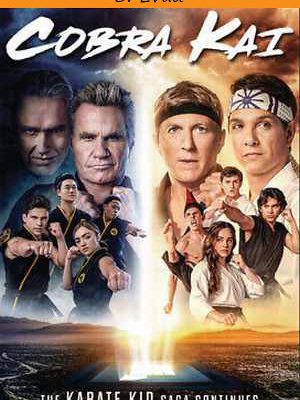 Cobra Kai 4. évad teljes sorozat magyarul